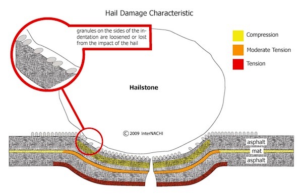 doesyourroofhavehaildamage